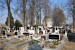 040 Lužecký hřbitov 31.1.2012